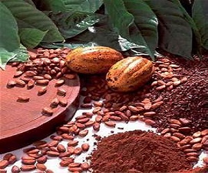 مواد اولیه شکلات داغ برای تولید عمده