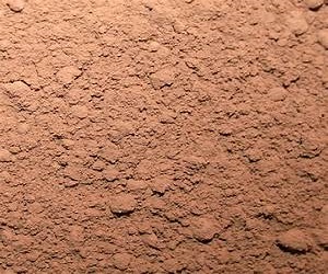 فروش پودر کاکائو اصل